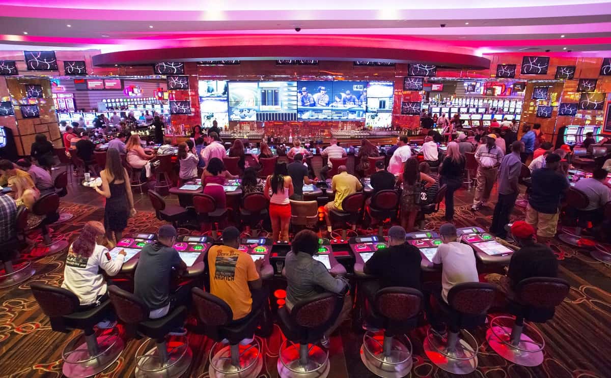 5 Provider Live Casino Terbaik yang Wajib Dicoba Tahun Ini