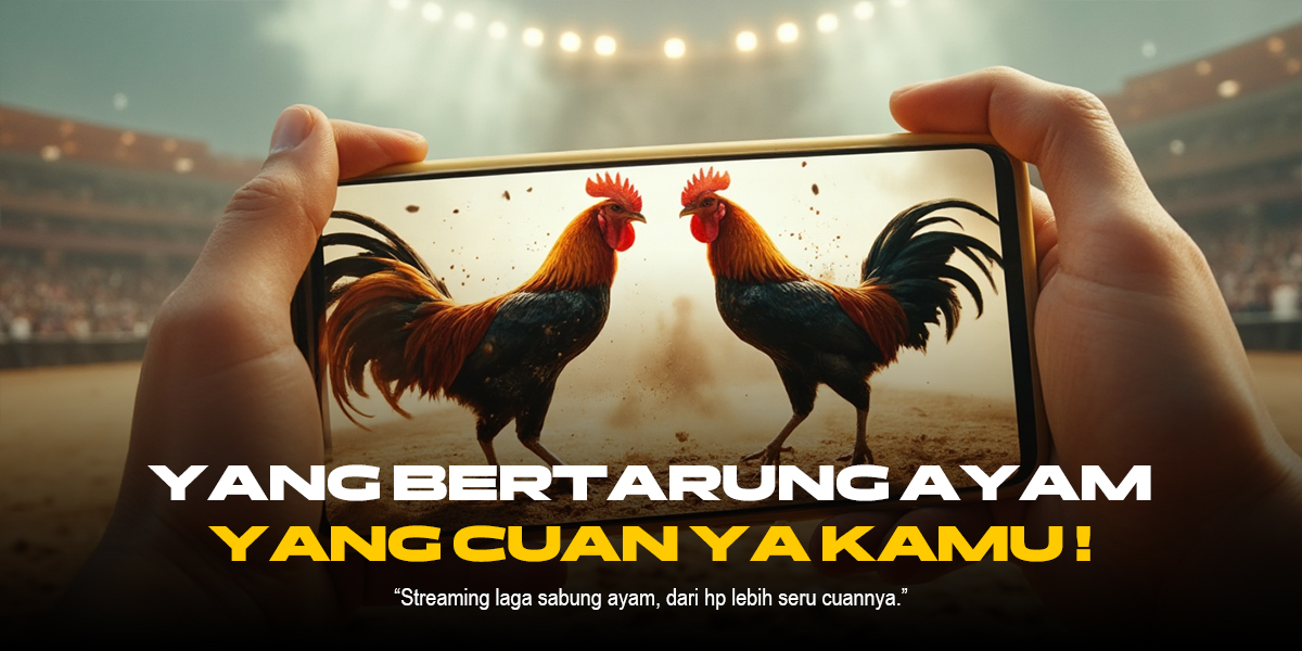 Mengenal Jenis Ayam Aduan SV388 dalam Sabung Ayam