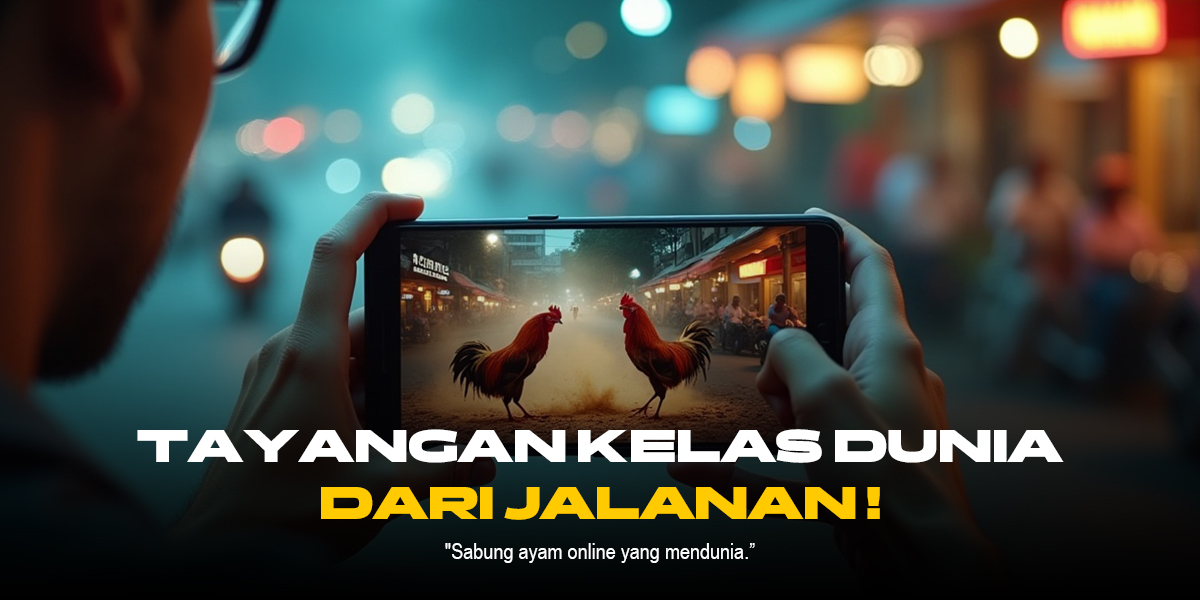Mengenal Jenis Ayam Bangkok dalam Sabung Ayam SV388